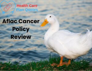 A white duck standing on green grass next to water. The Health Care Plan Quotes logo is on the top left of the image with the words "Aflac Cancer Policy Review" below the logo.