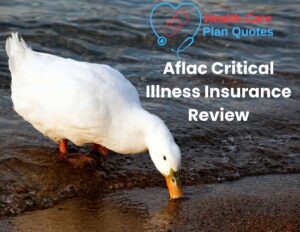 A duck taking a sip of water from a pond. The Health Care Plan Quotes logo is on the top right of the image with the words "Aflac Critical Illness Insurance Review" below it.