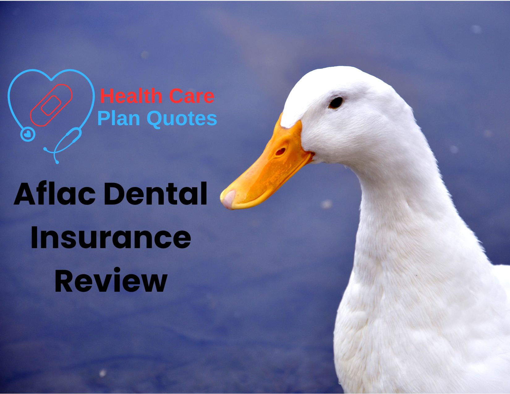 A white duck against a dark blue background. The Health Care Plan Quotes logo is off to the left with the words "Aflac Dental Insurance Review" under it.